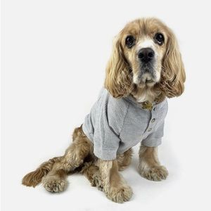 Top Paw Gray Henley Shirt